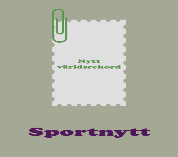 Sportnytt